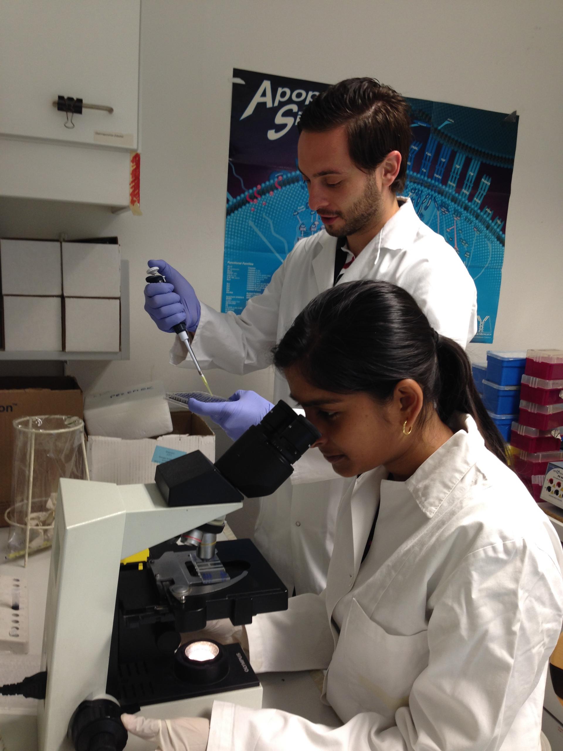 Forschungsprojekte 2015 Personen in Labor